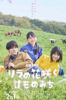 丁香花电影高清在线播放百度云免费HD中字